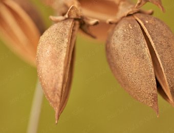 DSC01720 https://www.notker.ch